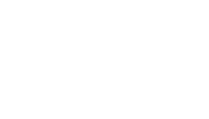 Automotive Overlay